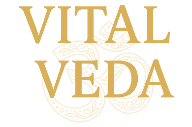 logo-vv
